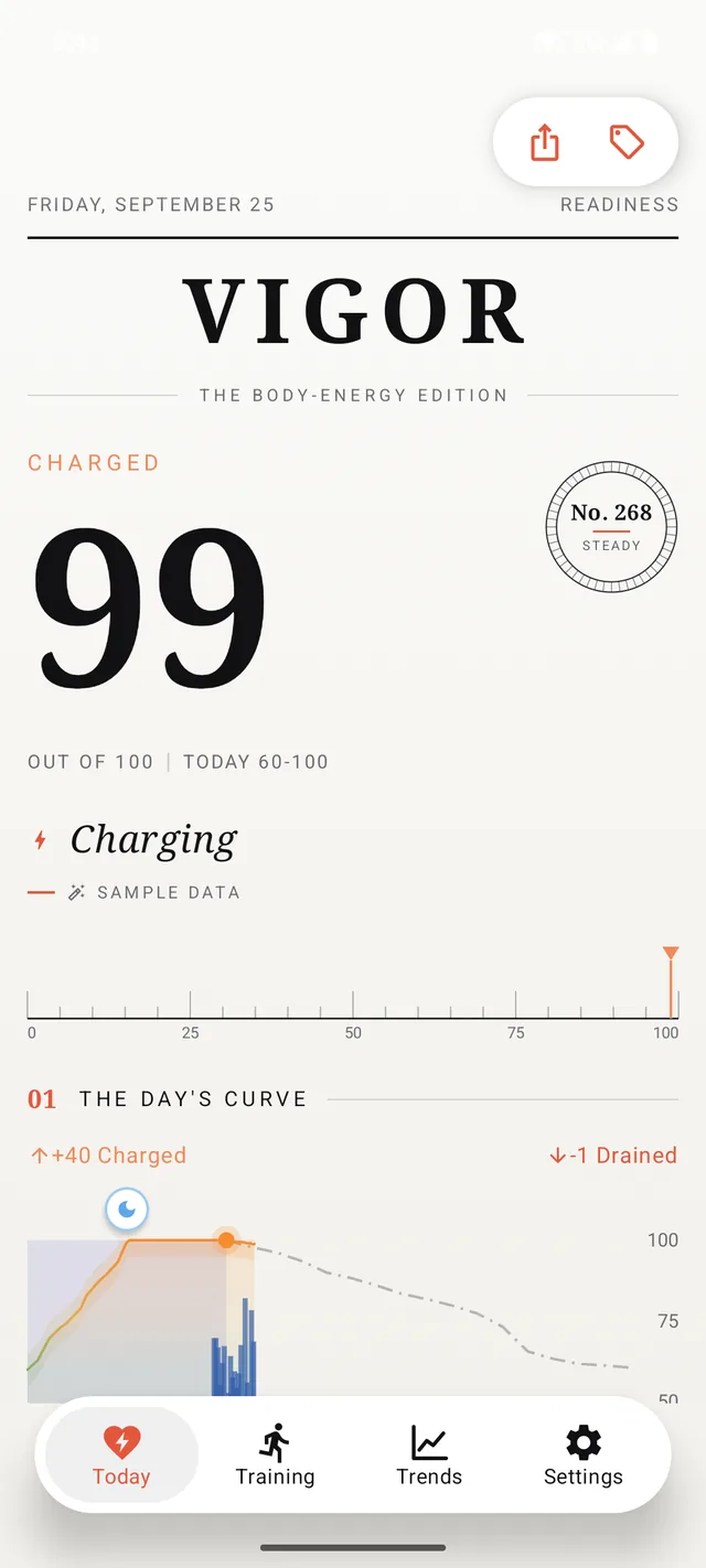 Vigor on an Android phone: the Modern look with the day's score and curve