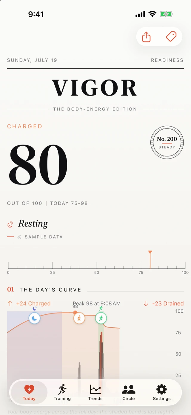 Modern theme with the energy gauge